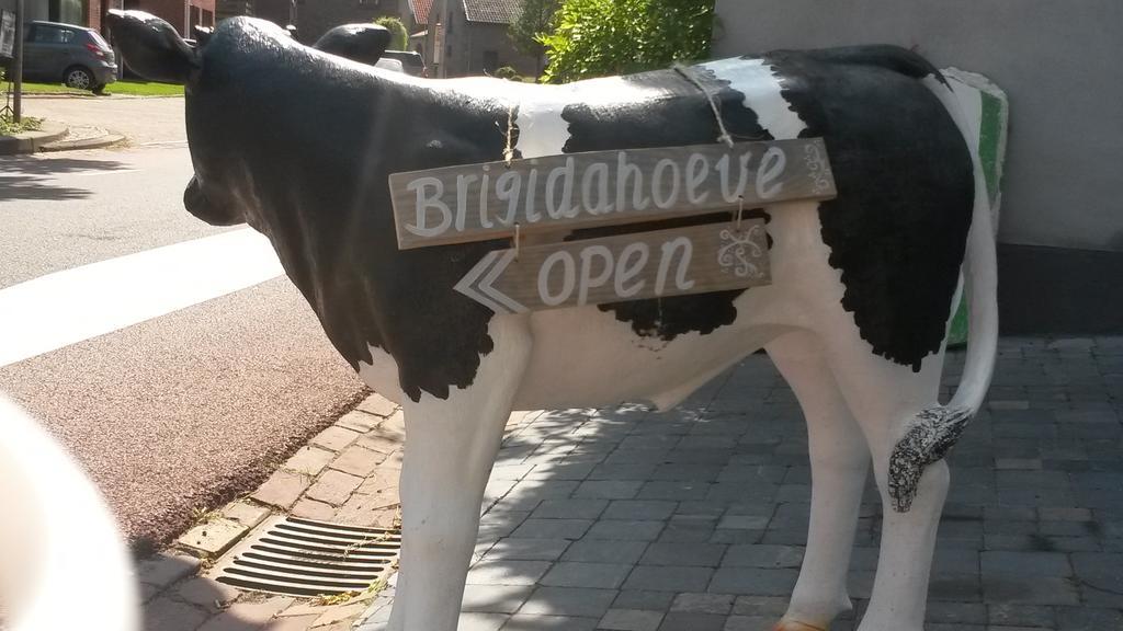 Brigidahoeve Maastricht Exteriér fotografie